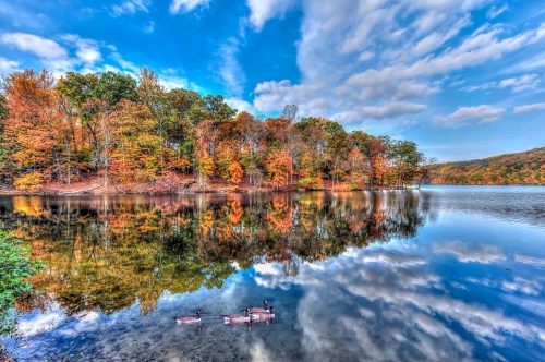 A serene lake reflects colorful autumn trees and a cloudy sky, with ducks swimming peacefully in the foreground.
