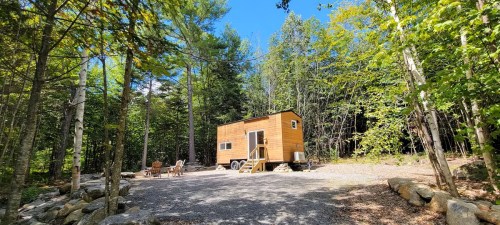 A tiny house on wheels surrounded by trees, with a gravel area and outdoor seating in a serene forest setting.