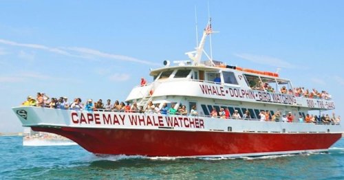 A large boat named "Cape May Whale Watcher" filled with passengers, cruising on a sunny day.
