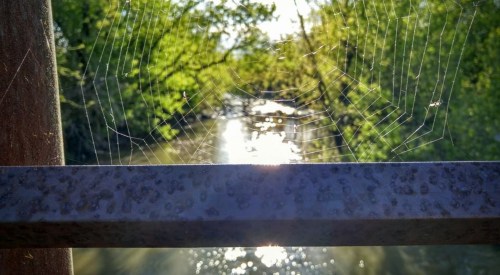 A close-up of a spider web on a railing, with a sunlit river and lush greenery in the background.
