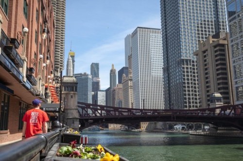 A person stands by a river in a city, with skyscrapers and a bridge in the background, surrounded by flowers.