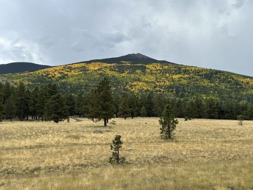 A mountain with a peak surrounded by trees and golden autumn foliage, set against a cloudy sky.