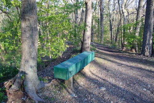 A green metal box on a post beside a dirt path, surrounded by trees and greenery in a wooded area.