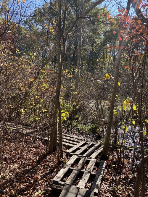 A wooden path through colorful autumn foliage leading to a serene waterway.