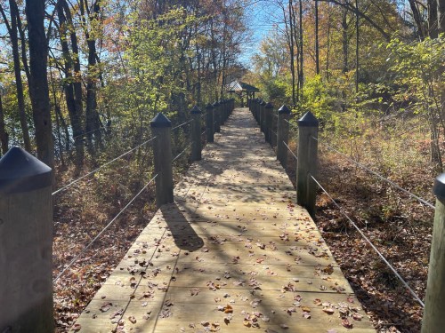 A wooden boardwalk leads through a forested area, with trees and a gazebo visible in the distance under a clear blue sky.