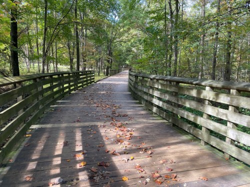 A wooden bridge winding through a forest, lined with trees and scattered autumn leaves on the path.