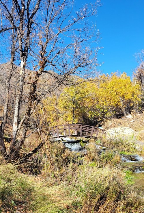 A wooden bridge over a stream, surrounded by autumn trees and a clear blue sky.