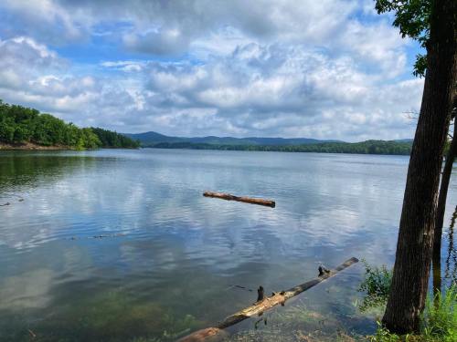 A serene lake surrounded by trees and mountains, with a log floating on the water under a cloudy sky.