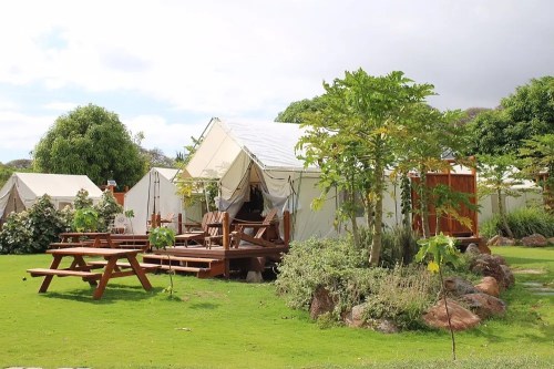 A cozy glamping tent surrounded by greenery and wooden furniture in a serene outdoor setting.