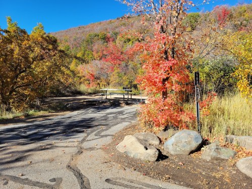A scenic view of a park entrance with vibrant autumn foliage and a gravel path leading into the trees.