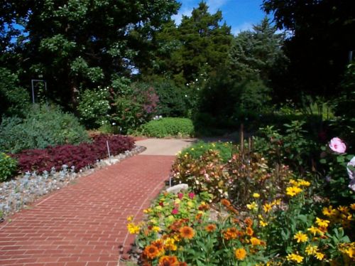 A vibrant garden path surrounded by colorful flowers and lush greenery under a clear blue sky.