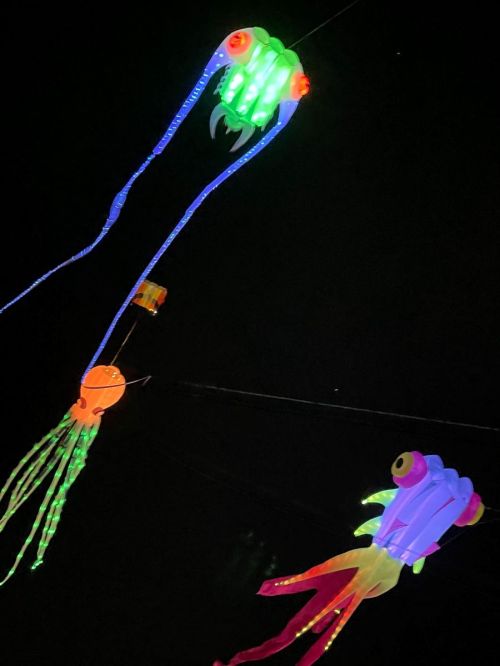 Colorful, glowing jellyfish and octopus decorations hanging against a dark background.