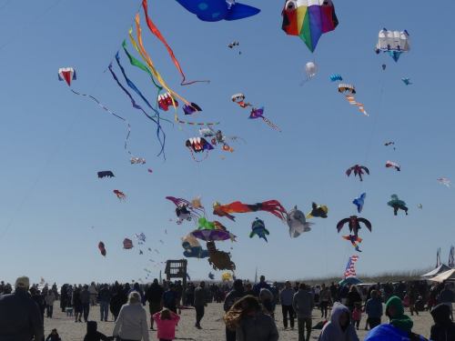 A vibrant sky filled with colorful kites above a crowd on a beach, enjoying a kite festival on a clear day.