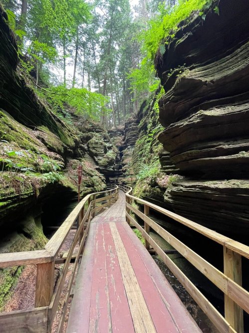A wooden walkway winds through a lush, green canyon with steep, moss-covered rock walls.
