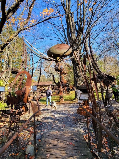 A person walks a dog through a sculpture garden filled with large metal art pieces under a clear blue sky.