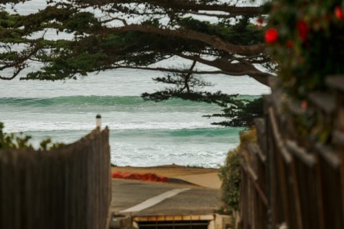 A serene view of ocean waves through trees, with a sandy path leading to the beach.