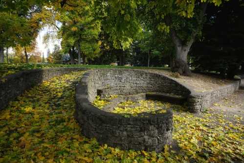 A curved stone seating area surrounded by trees and covered in yellow autumn leaves.