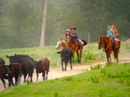Two riders on horseback guide a herd of cattle along a dirt path in a green, misty landscape.