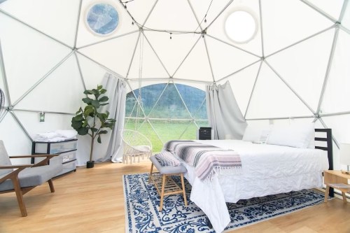 Cozy interior of a geodesic dome with a bed, chair, and plants, surrounded by large windows and natural light.