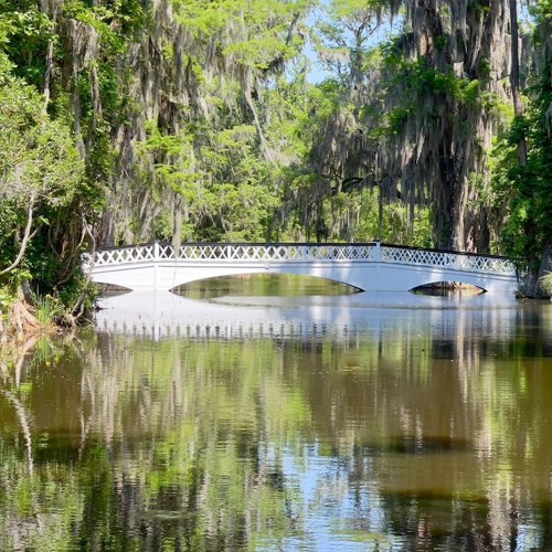 A white bridge arches over a calm, reflective waterway surrounded by lush greenery and hanging moss.