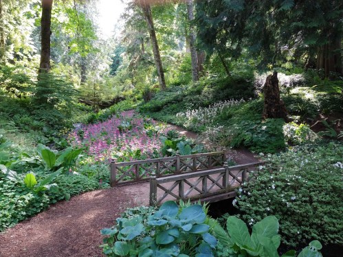 A serene garden scene featuring a wooden bridge over a lush, flower-filled landscape surrounded by trees.