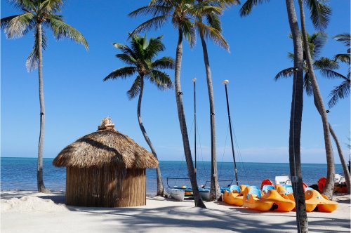 A tropical beach scene with a thatched hut, palm trees, and colorful paddle boats by the water under a clear blue sky.