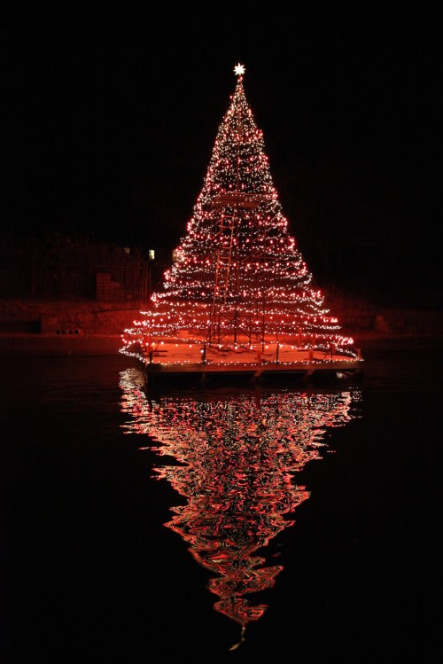 A brightly lit Christmas tree on a boat, reflecting in dark water at night.