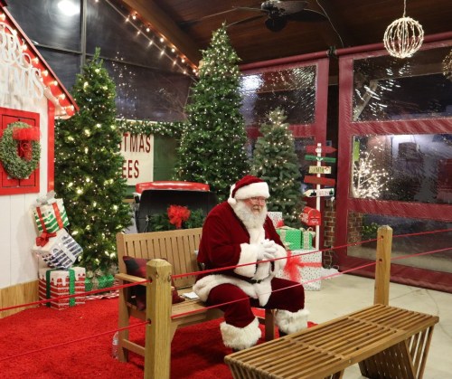 Santa Claus sits on a bench surrounded by Christmas trees and festive decorations in a cozy holiday setting.
