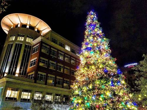 A brightly lit Christmas tree adorned with colorful lights stands next to a modern building at night.