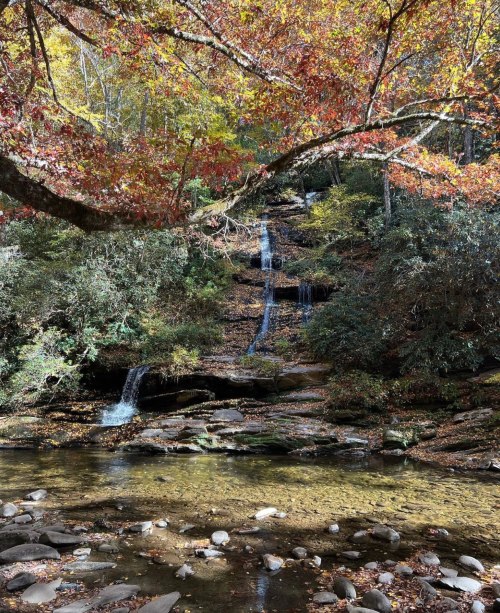 A serene waterfall cascades down rocky terrain, surrounded by vibrant autumn foliage and a clear stream below.