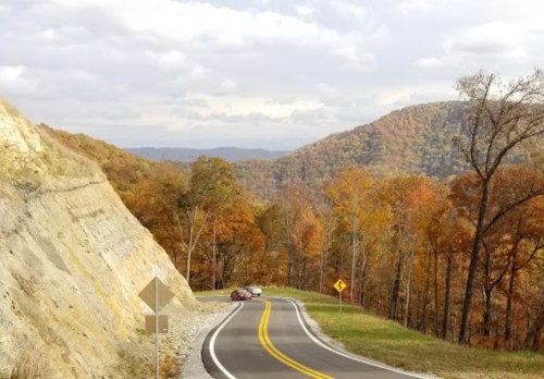 A winding road through autumn trees and hills under a cloudy sky.