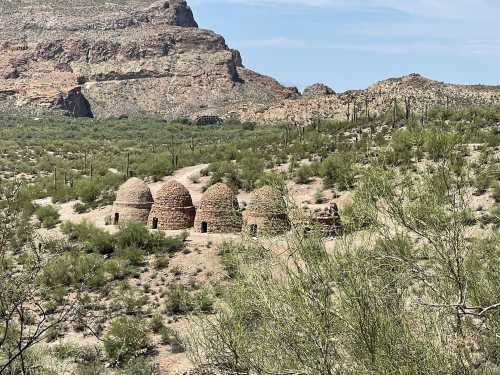 Historic stone kilns nestled in a desert landscape, surrounded by cacti and rocky hills under a clear blue sky.