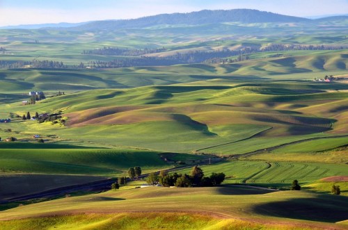 Lush green rolling hills under a clear sky, with patches of farmland and distant mountains in the background.