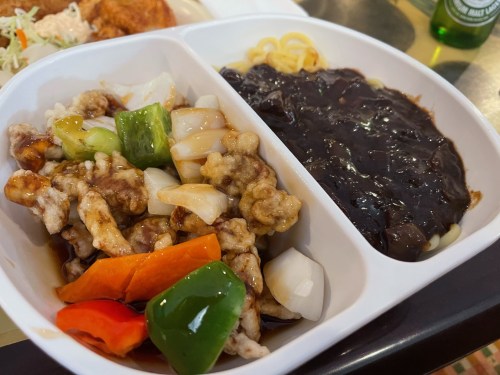 A divided food container with stir-fried vegetables and chicken in sauce on one side, and dark sauce with noodles on the other.