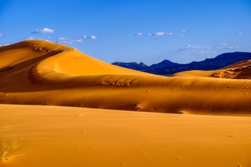 Golden sand dunes under a clear blue sky, with distant mountains visible on the horizon.