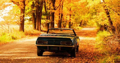 A vintage blue convertible parked on a tree-lined road covered in autumn leaves.