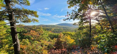 A scenic view of rolling hills and trees, showcasing vibrant autumn colors under a clear blue sky.