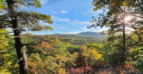 A scenic view of rolling hills and colorful trees under a clear blue sky, with sunlight filtering through the branches.