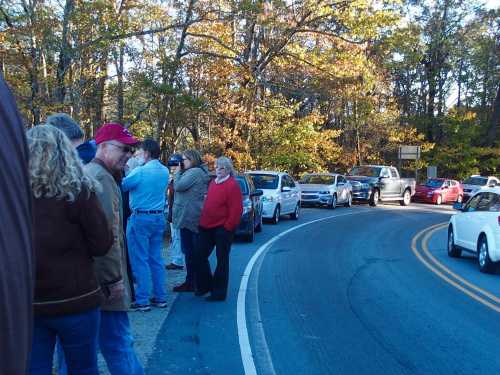 A group of people stands along a roadside, with cars parked nearby and autumn trees in the background.