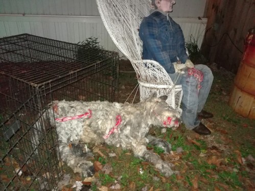 A creepy scene featuring a mannequin in a chair, a dog-like figure on the ground, and a cage nearby, all in a dimly lit yard.