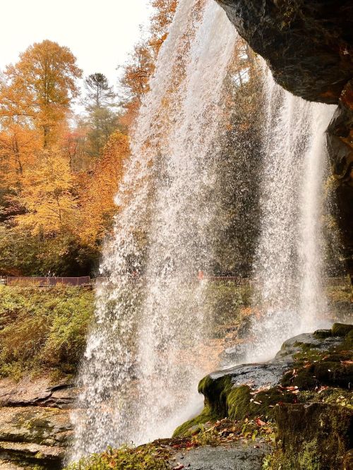 A waterfall cascades over rocks, surrounded by vibrant autumn foliage and a misty atmosphere.