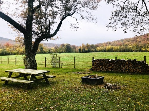 A serene outdoor scene featuring a picnic table, fire pit, stacked firewood, and a lush green field surrounded by trees.