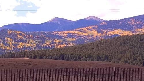 Scenic view of mountains with autumn foliage, surrounded by a forest and a brown field in the foreground.