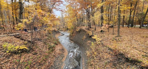 A serene stream flows through a forest with vibrant autumn foliage, showcasing orange and yellow leaves.