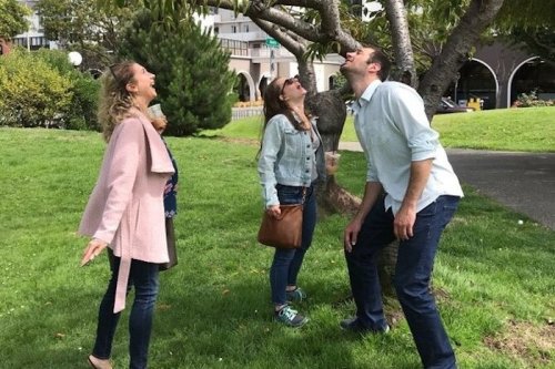 Three people looking up at a tree in a park, smiling and enjoying the moment on a sunny day.