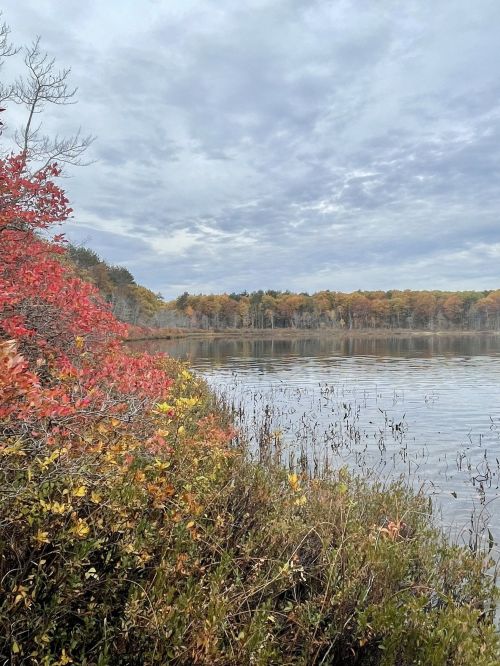 A serene lake surrounded by autumn foliage, with colorful trees reflecting on the water under a cloudy sky.