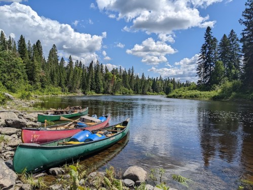 Four canoes in vibrant colors are docked by a serene river, surrounded by lush green trees and a bright blue sky.