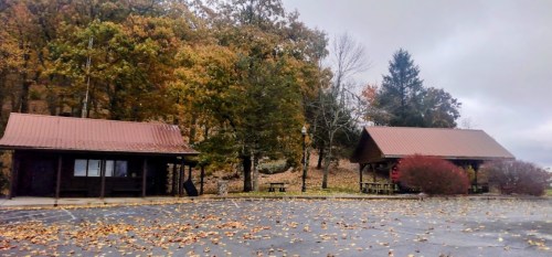 Two rustic cabins with red roofs surrounded by autumn foliage and fallen leaves on a cloudy day.