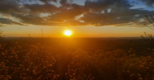 A vibrant sunset over a landscape, with golden light illuminating the sky and silhouetted plants in the foreground.