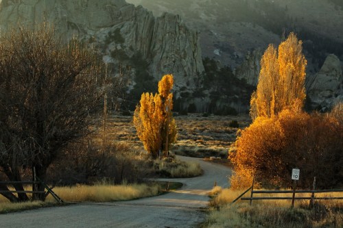 A winding road leads through a landscape of golden autumn trees and rocky hills under soft sunlight.